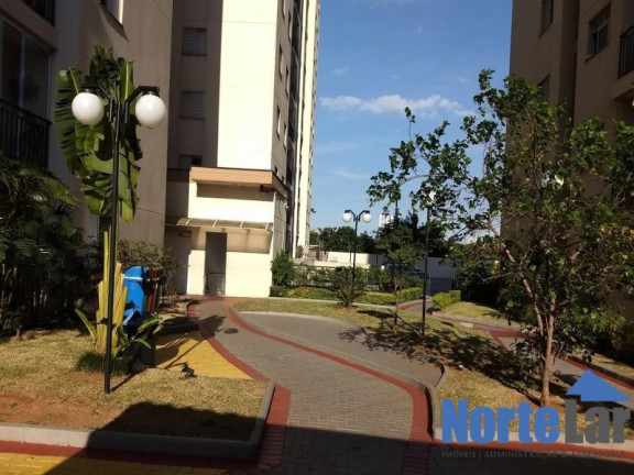 Imagem Apartamento com 2 Quartos à Venda, 50 m² em Vila Roque - São Paulo