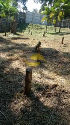 Imagem Terreno à Venda, 1.000 m² em Jardim Colibri - Cotia Imagem Terreno à Venda, 1.000 m² em Jardim Colibri - Cotia