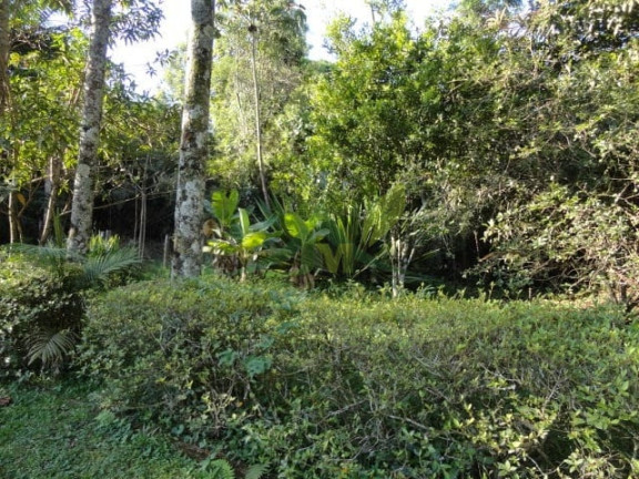 Imagem Chácara com 3 Quartos à Venda, 35.000 m² em Centro - Piracaia Imagem Chácara com 3 Quartos à Venda, 35.000 m² em Centro - Piracaia
