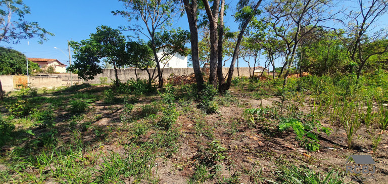 Imagem Terreno à Venda, 900 m² em Fernão Dias - Esmeraldas Imagem Terreno à Venda, 900 m² em Fernão Dias - Esmeraldas