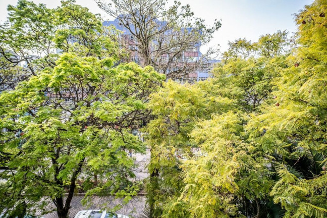 Imagem Apartamento com 3 Quartos à Venda, 141 m² em Menino Deus - Porto Alegre