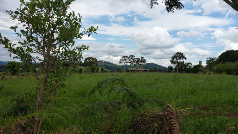 Imagem Terreno à Venda, 60.000 m² em Ressaca - Atibaia Imagem Terreno à Venda, 60.000 m² em Ressaca - Atibaia