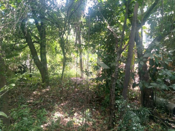 Imagem Terreno à Venda, 1.200 m² em Campo Grande - Rio De Janeiro Imagem Terreno à Venda, 1.200 m² em Campo Grande - Rio De Janeiro