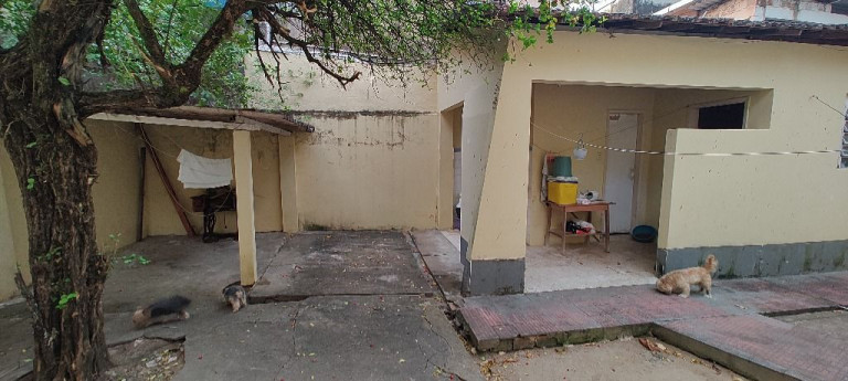 Imagem Casa com 4 Quartos à Venda, 225 m² em Casa Amarela - Recife