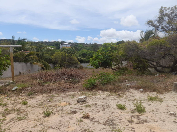 Imagem Terreno à Venda, 1.029 m² em Praia Da Pipa - Tibau Do Sul Imagem Terreno à Venda, 1.029 m² em Praia Da Pipa - Tibau Do Sul