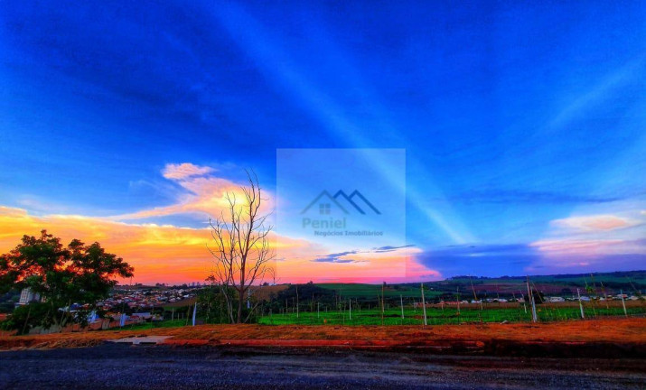 Imagem Terreno à Venda, 253 m² em Belvedere Residencial - Ribeirão Preto Imagem Terreno à Venda, 253 m² em Belvedere Residencial - Ribeirão Preto
