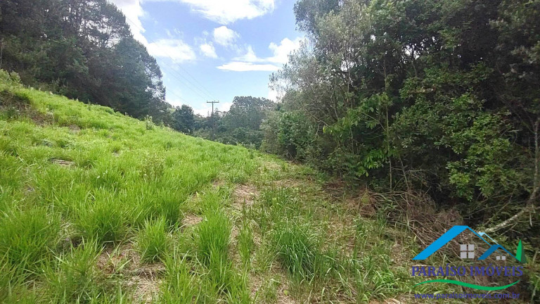 Imagem Chácara à Venda, 20 m² em Centro - Camanducaia Imagem Chácara à Venda, 20 m² em Centro - Camanducaia