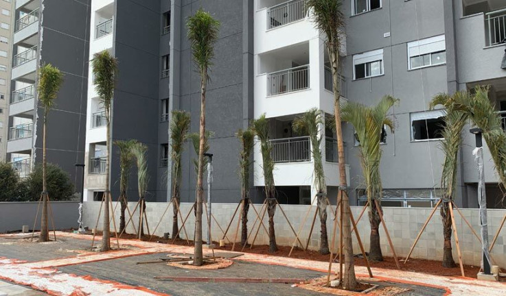 Imagem Apartamento com 2 Quartos à Venda, 66 m² em Parque São Jorge - São Paulo Imagem Apartamento com 2 Quartos à Venda, 66 m² em Parque São Jorge - São Paulo