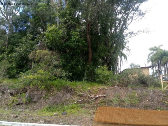 Imagem Terreno à Venda, 555 m² em Juriti - Nova Petrópolis Imagem Terreno à Venda, 555 m² em Juriti - Nova Petrópolis