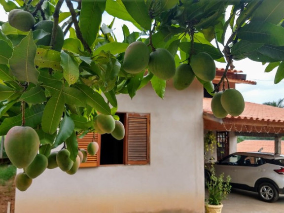 Imagem Imóvel com 3 Quartos à Venda, 200 m² em Chácara Recreio Floresta - Jaguariúna