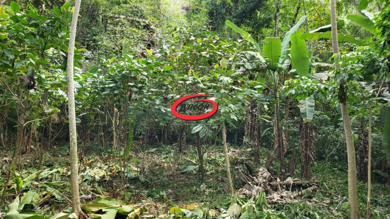 Imagem Terreno à Venda, 738 m² em Praia Da Fortaleza - Ubatuba Imagem Terreno à Venda, 738 m² em Praia Da Fortaleza - Ubatuba