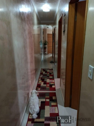 Imagem Cobertura com 3 Quartos à Venda, 170 m² em Vila Scarpelli - Santo André