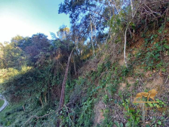 Imagem Terreno à Venda, 729 m² em V Britânia - Campos Do Jordão Imagem Terreno à Venda, 729 m² em V Britânia - Campos Do Jordão
