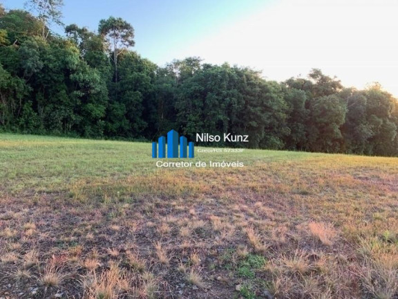 Imagem Terreno em Condomínio à Venda, 2.700 m² em Vale Dos Vinhedos - Garibaldi Imagem Terreno em Condomínio à Venda, 2.700 m² em Vale Dos Vinhedos - Garibaldi