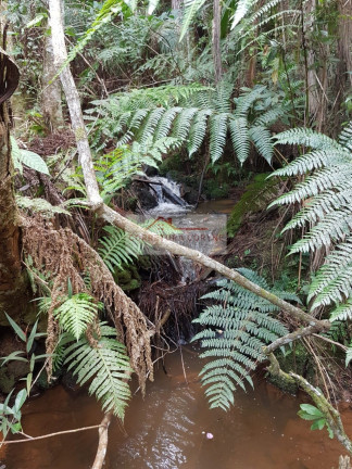 Imagem Imóvel à Venda, em São Lourenço - Juquitiba Imagem Imóvel à Venda, em São Lourenço - Juquitiba