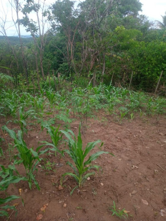 Imagem Terreno à Venda, 360 m² em Vele Do Sol - São Joaquim De Bicas Imagem Terreno à Venda, 360 m² em Vele Do Sol - São Joaquim De Bicas