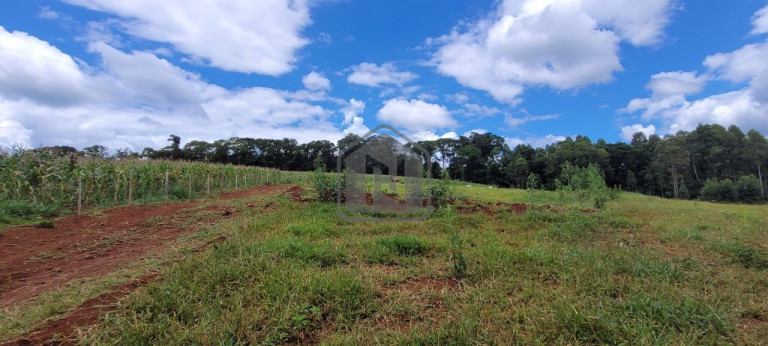 Imagem Imóvel à Venda, 2 m² em Presidente - Cascavel Imagem Imóvel à Venda, 2 m² em Presidente - Cascavel