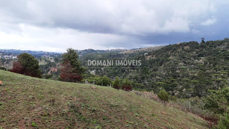 Imagem Terreno à Venda, 1.800 m² em Região De Descansópolis - Campos Do Jordão Imagem Terreno à Venda, 1.800 m² em Região De Descansópolis - Campos Do Jordão