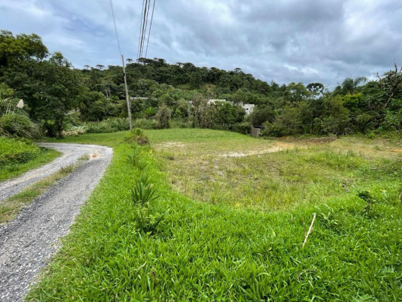 Imagem Terreno à Venda, 893 m² em Paiol De Baixo - Campina Grande Do Sul - Campina Grande Do Sul Imagem Terreno à Venda, 893 m² em Paiol De Baixo - Campina Grande Do Sul - Campina Grande Do Sul