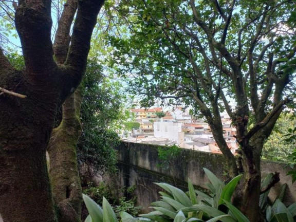 Imagem Terreno à Venda, 312 m² em Vila Apiaí - Santo André