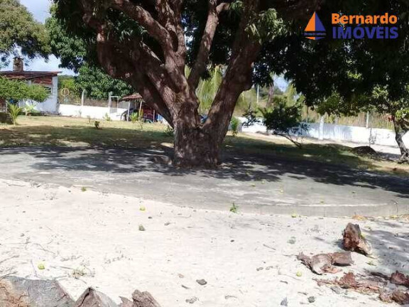 Imagem Chácara com 4 Quartos à Venda, 350 m² em Pedro De Souza - Cascavel