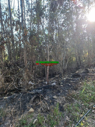 Imagem Chácara à Venda, 20.000 m² em Centro - Monteiro Lobato Imagem Chácara à Venda, 20.000 m² em Centro - Monteiro Lobato