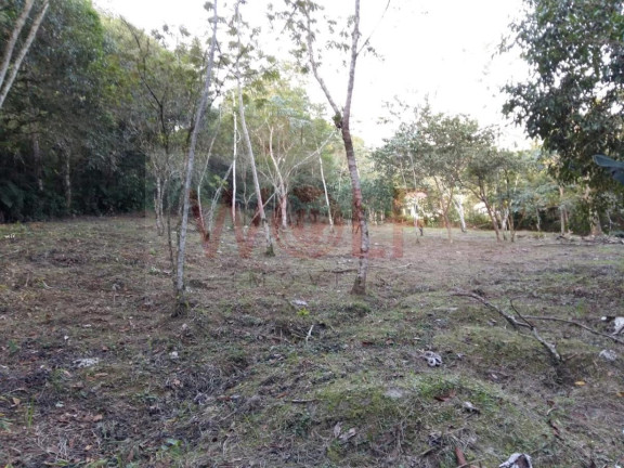 Imagem Imóvel à Venda, 12.904 m² em Saiva - Antonina Imagem Imóvel à Venda, 12.904 m² em Saiva - Antonina