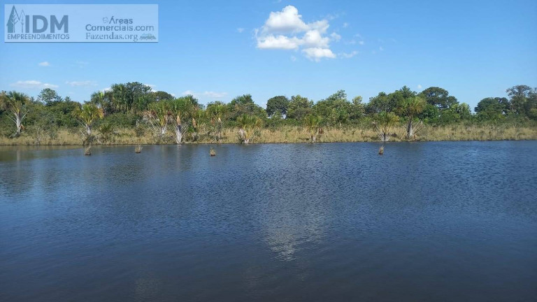 Imagem Chácara à Venda, 6.030.000 m² em Centro - Campo Grande