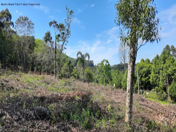 Terreno à Venda, 675 m² em Piá - Nova Petrópolis