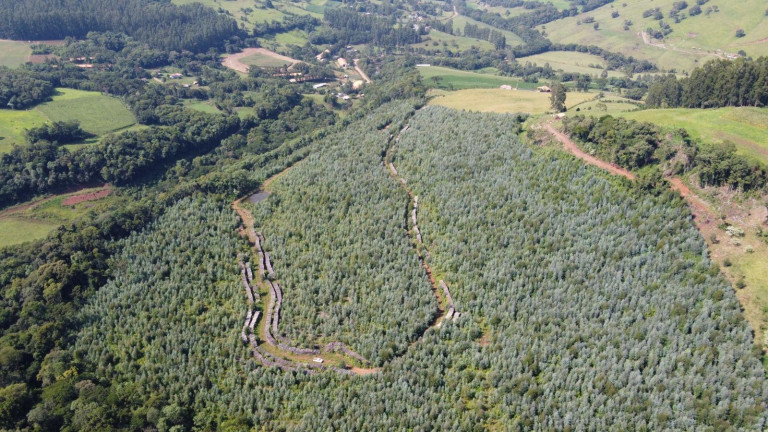 Terreno à Venda, 170.000 m² em Interior - Jaborá