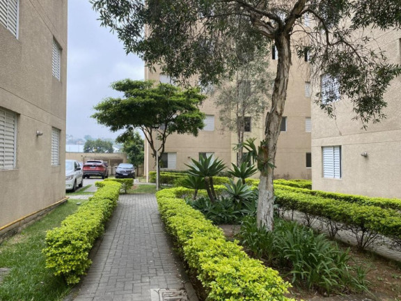 Imagem Apartamento com 2 Quartos à Venda, 45 m² em Sítio Pinheirinho - São Paulo Imagem Apartamento com 2 Quartos à Venda, 45 m² em Sítio Pinheirinho - São Paulo