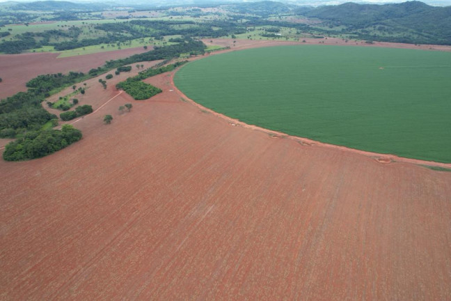 Imagem Fazenda à Venda, 60 m² em Zona Rural - Morrinhos Imagem Fazenda à Venda, 60 m² em Zona Rural - Morrinhos