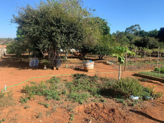 Imagem Chácara com 3 Quartos à Venda, 3.000 m² em Chacaras Reunidas - Pilar Do Sul Imagem Chácara com 3 Quartos à Venda, 3.000 m² em Chacaras Reunidas - Pilar Do Sul