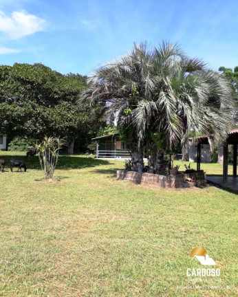 Imagem Imóvel com 8 Quartos à Venda, 13.000 m² em águas Claras - Viamão