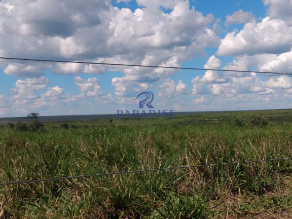 Imagem Fazenda à Venda, 17.799.000 m² em Zona Rural - Baianópolis Imagem Fazenda à Venda, 17.799.000 m² em Zona Rural - Baianópolis