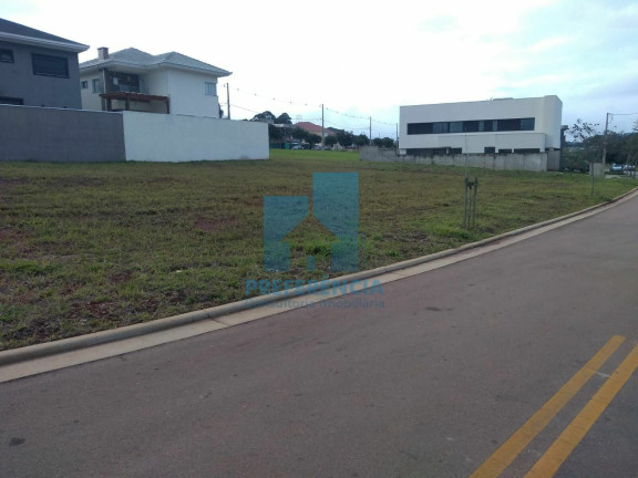 Imagem Terreno à Venda, 320 m² em Jardim Carvalho - Ponta Grossa