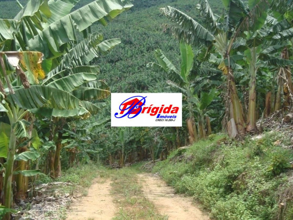 Imagem Fazenda à Venda, 275 m² em Centro - Jacupiranga Imagem Fazenda à Venda, 275 m² em Centro - Jacupiranga