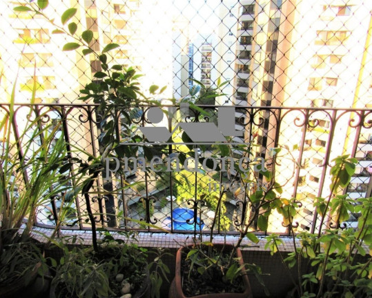 Imagem Apartamento com 3 Quartos à Venda, 119 m² em Perdizes - São Paulo