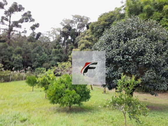 Imagem Chácara com 3 Quartos à Venda, 20.000 m² em Colônia Malhada - São José Dos Pinhais Imagem Chácara com 3 Quartos à Venda, 20.000 m² em Colônia Malhada - São José Dos Pinhais