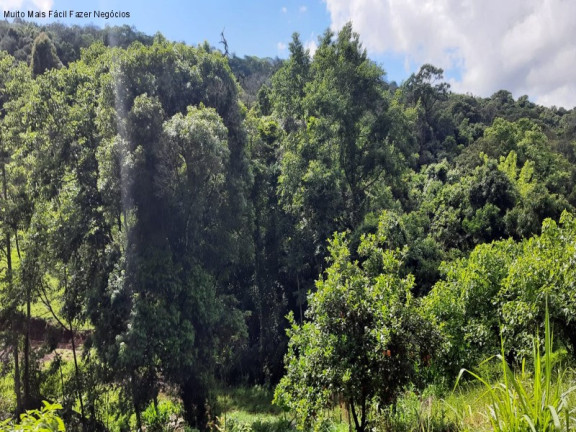 Terreno à Venda, 2 m² em Linha Olinda - Nova Petrópolis