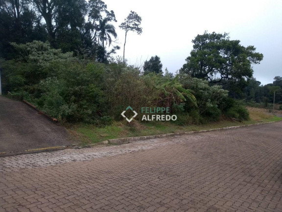 Imagem Terreno à Venda, 542 m² em Planalto - Morro Reuter