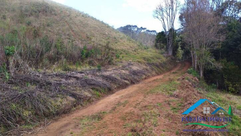 Imagem Terreno à Venda, 38 m² em Centro - Gonçalves