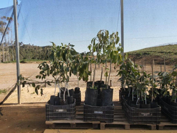 Imagem Fazenda à Venda, 4.463.400 m² em Zona Rural - Maria Da Fé Imagem Fazenda à Venda, 4.463.400 m² em Zona Rural - Maria Da Fé