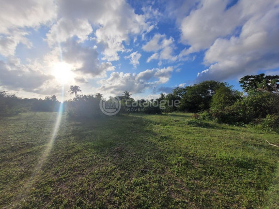 Imagem Terreno à Venda, 170.000 m² em Jardins - São Gonçalo Do Amarante Imagem Terreno à Venda, 170.000 m² em Jardins - São Gonçalo Do Amarante