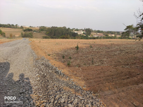 Imagem Terreno à Venda, 5.000 m² em área Rural De Limeira - Limeira Imagem Terreno à Venda, 5.000 m² em área Rural De Limeira - Limeira