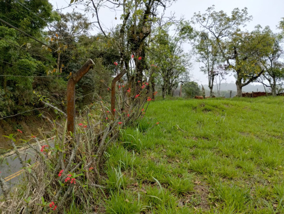 Imagem Terreno à Venda, 2.533 m² em Caputera - Cotia Imagem Terreno à Venda, 2.533 m² em Caputera - Cotia