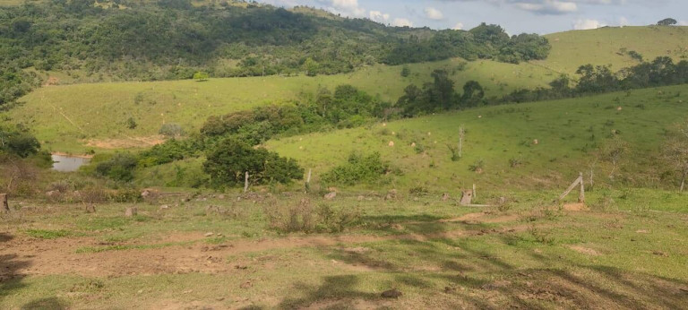 Imagem Chácara com 3 Quartos à Venda, 33 m² em Zona De Pecuária - Pilar Do Sul