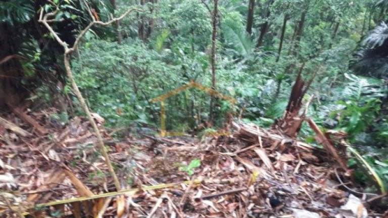 Imagem Terreno à Venda, 3.351 m² em Tucuruvi - São Paulo Imagem Terreno à Venda, 3.351 m² em Tucuruvi - São Paulo
