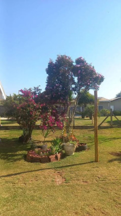 Imagem Chácara com 3 Quartos à Venda, 2.502 m² em área Rural De Cambé - Cambé Imagem Chácara com 3 Quartos à Venda, 2.502 m² em área Rural De Cambé - Cambé