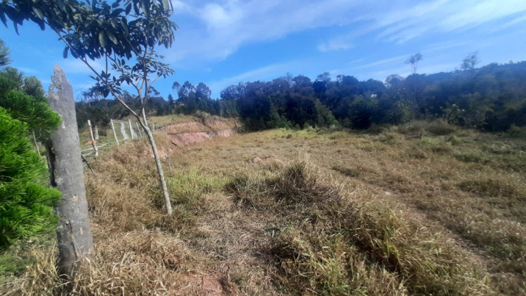 Imagem Chácara com 8 Quartos à Venda, 222.000 m² em Centro - Atibaia Imagem Chácara com 8 Quartos à Venda, 222.000 m² em Centro - Atibaia